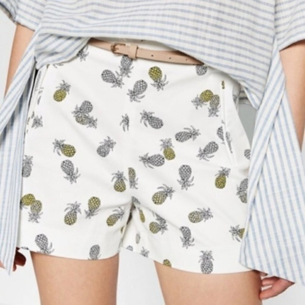 Zara Shorts